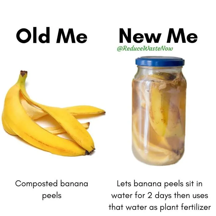 50 ‘Old Me vs. New Me’ Memes That Will Help You Reduce Waste