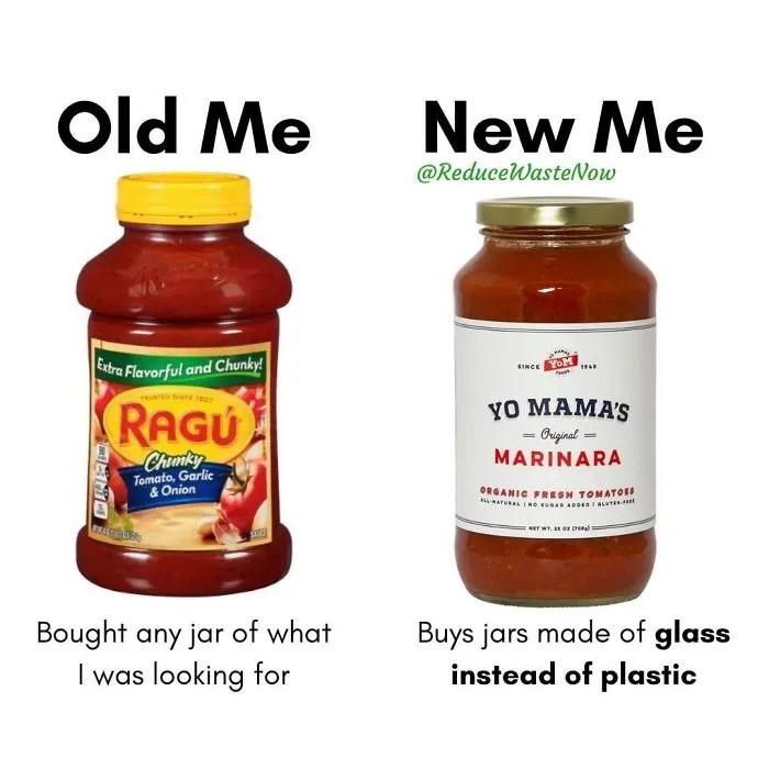 50 ‘Old Me vs. New Me’ Memes That Will Help You Reduce Waste