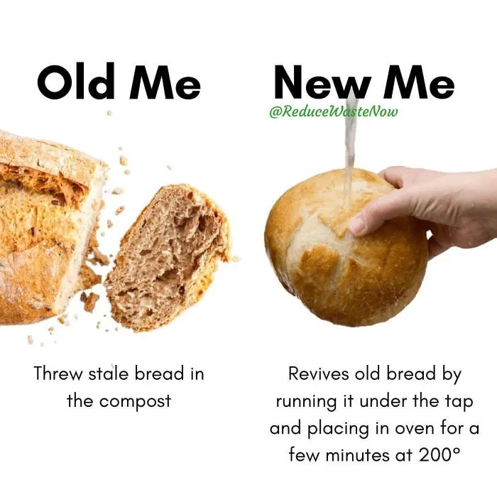 50 ‘Old Me vs. New Me’ Memes That Will Help You Reduce Waste
