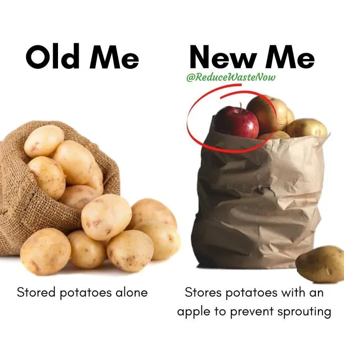 50 ‘Old Me vs. New Me’ Memes That Will Help You Reduce Waste