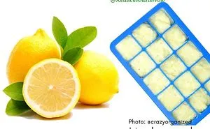 50 ‘Old Me vs. New Me’ Memes That Will Help You Reduce Waste