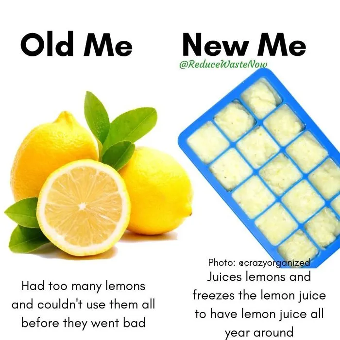 50 ‘Old Me vs. New Me’ Memes That Will Help You Reduce Waste