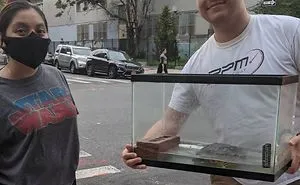 People Share What They Found Thrown Away And The Phrase 'One Man's Trash Is Another Man's Treasure' Has Never Been So Real