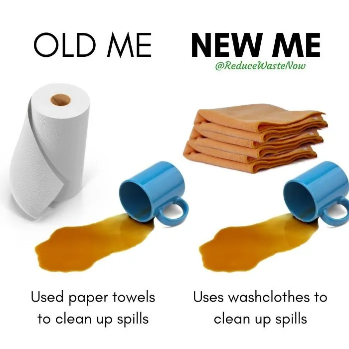 50 ‘Old Me vs. New Me’ Memes That Will Help You Reduce Waste