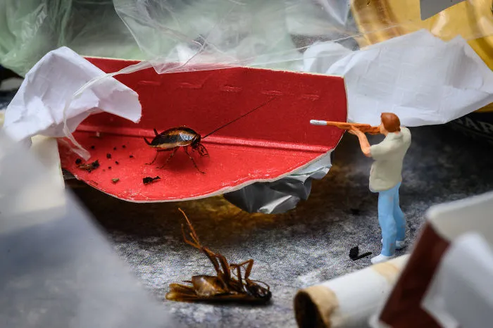 The Last Cockroach