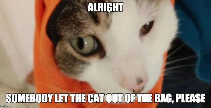 Hey Pandas! What Is The Funniest Thing You Have Ever Seen? (Closed)
