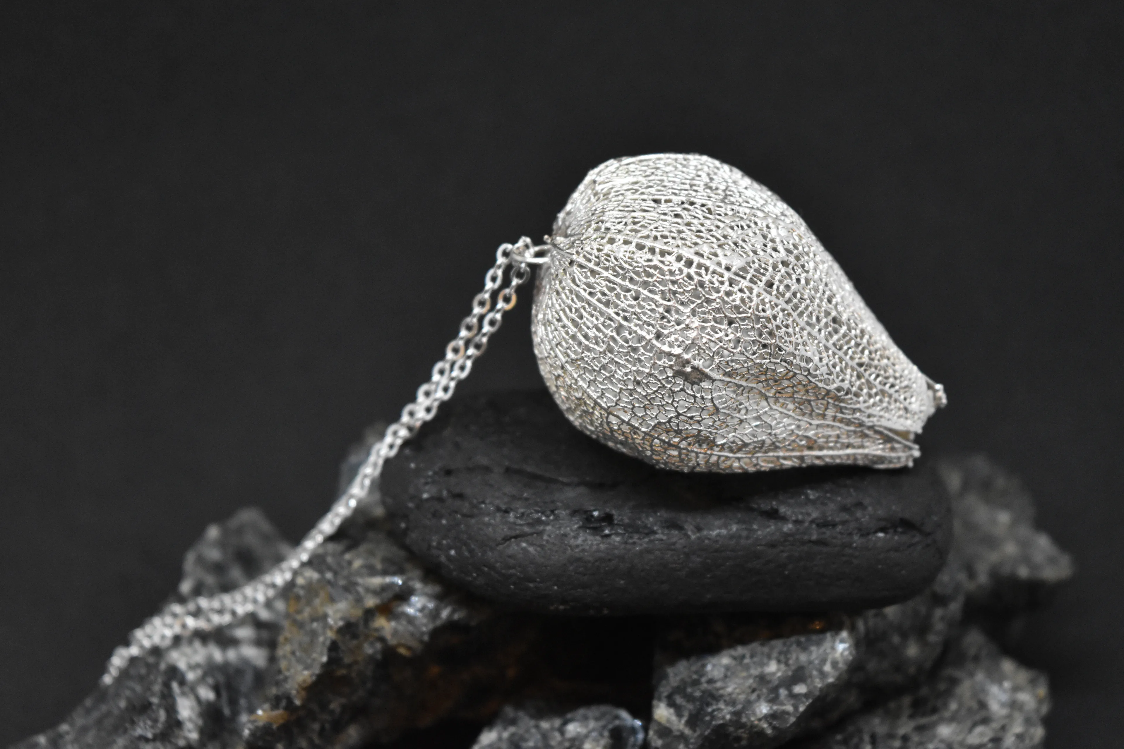 I Spend My Free Time To Turn Delicate Nature Beauty Into Unique Botanical Jewellery