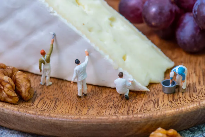 Brie Painters