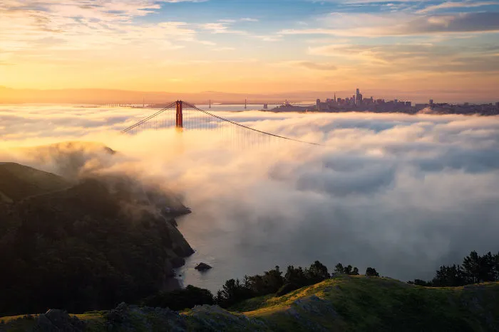 Low Fog