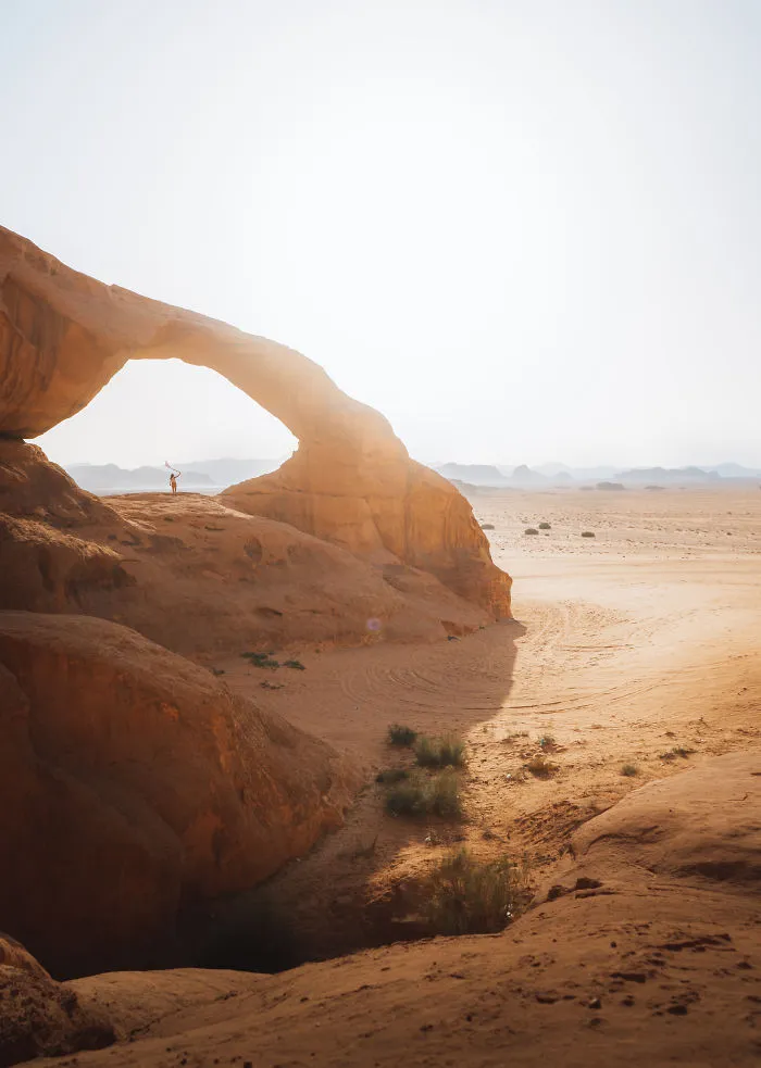 Desert Fever