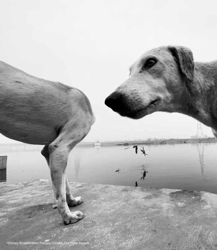 'Ohhhhhhhhh' By Dimpy Bhalotia
