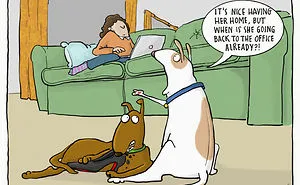 I Illustrate The Life And Secret Thoughts Of Dogs (18 Comics)