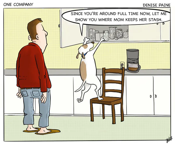 I Illustrate The Life And Secret Thoughts Of Dogs (18 Comics)