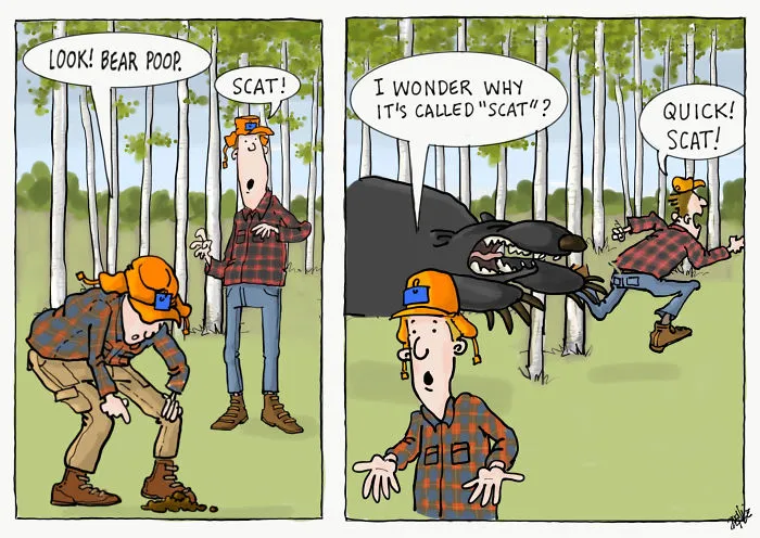 Scat