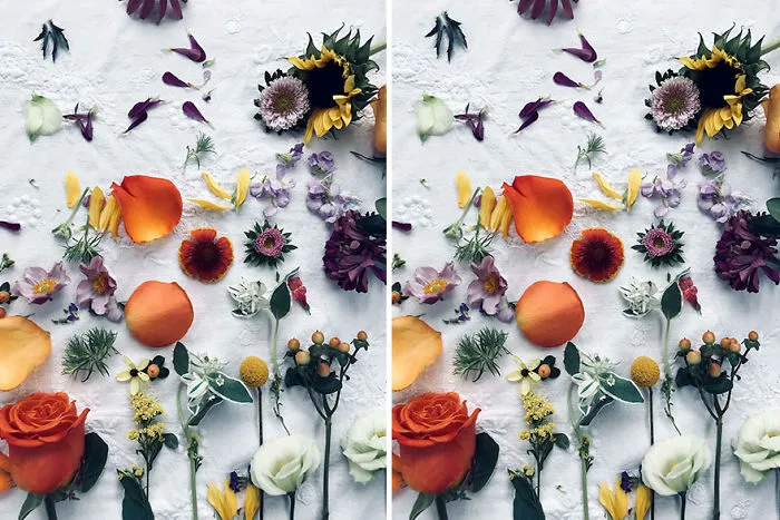 Flowers (10 Differences)