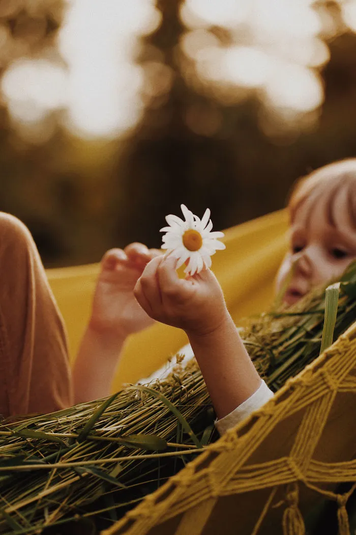 In A Hammock