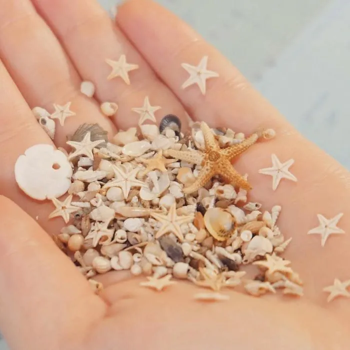 Here Are 30 Of The Most Interesting Things I've Found On The Beach While Looking For Treasures (New Pics)