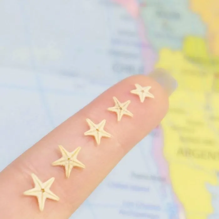 A Star That Fell From The Sky Into The Ocean