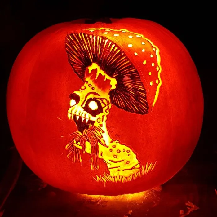 Evil Mushroom