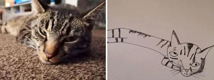 I Have Never Drawn In My Life, But I Am Doing Crappy Pet Portraits To Raise Money For Charity (30 Pics)