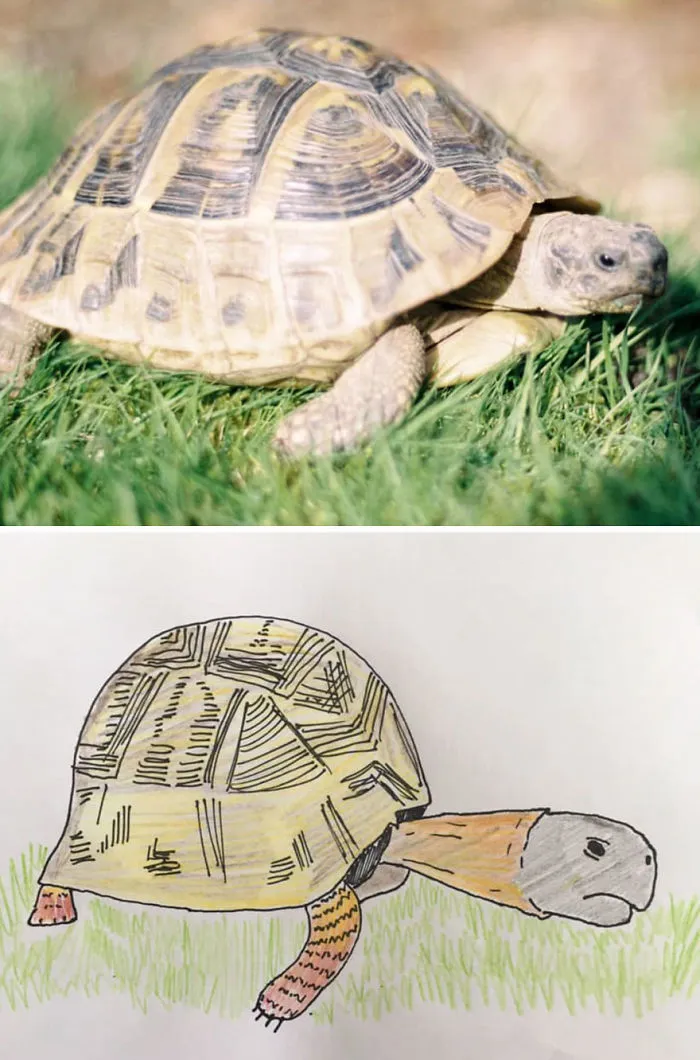I Have Never Drawn In My Life, But I Am Doing Crappy Pet Portraits To Raise Money For Charity (30 Pics)
