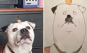I Have Never Drawn In My Life, But I Am Doing Crappy Pet Portraits To Raise Money For Charity (30 Pics)