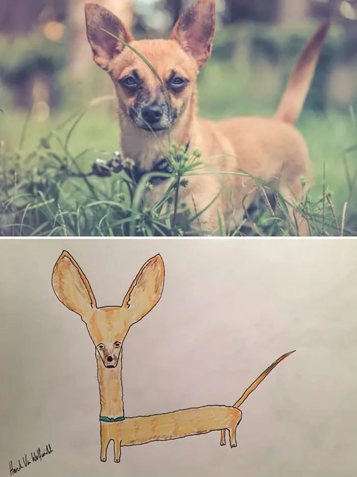 I Have Never Drawn In My Life, But I Am Doing Crappy Pet Portraits To Raise Money For Charity (30 Pics)
