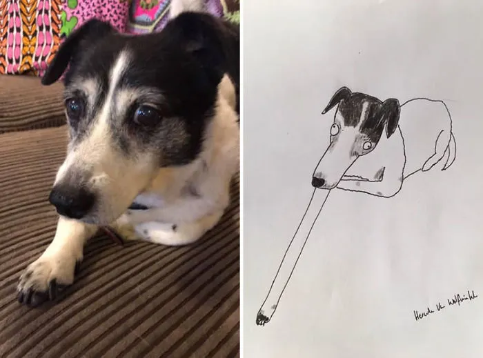 I Have Never Drawn In My Life, But I Am Doing Crappy Pet Portraits To Raise Money For Charity (30 Pics)