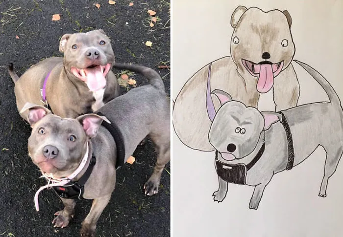 I Have Never Drawn In My Life, But I Am Doing Crappy Pet Portraits To Raise Money For Charity (30 Pics)