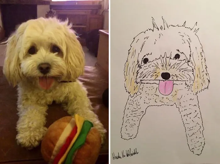 Funny-Pet-Portraits-Charity-Hercule-Van-Wolfwinkle