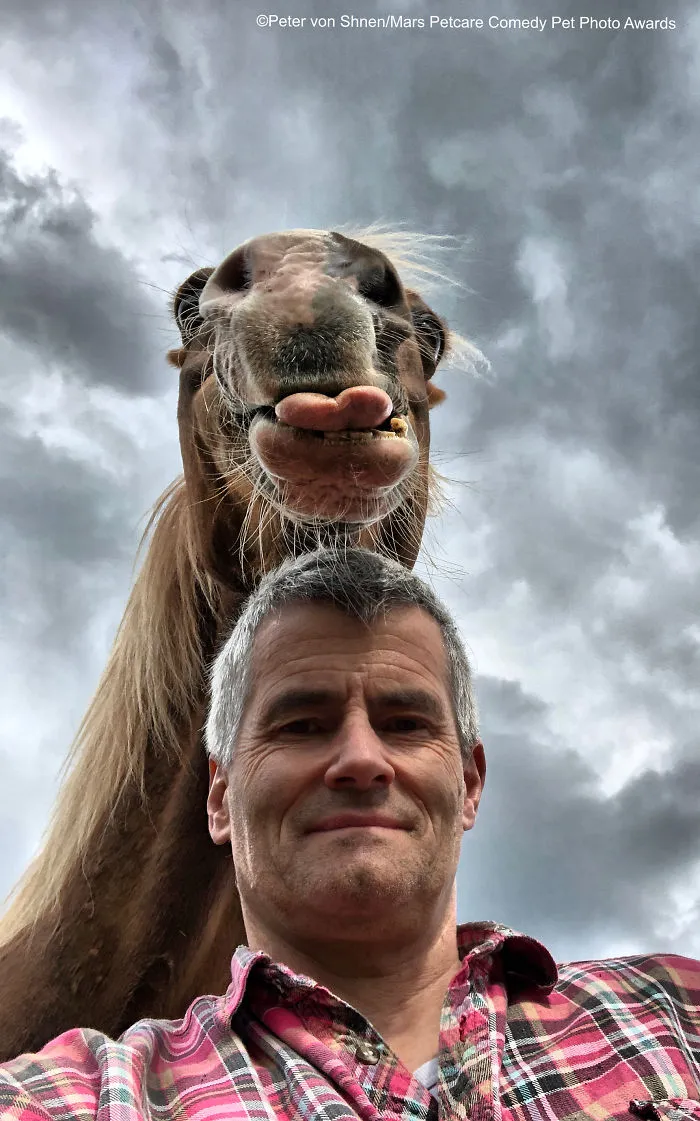 Caballo gracioso, Peter Von Shnen