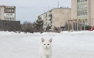 Photographer Documents The Bizarre Peculiarities Of Russia Using His iPhone (40 Pics)