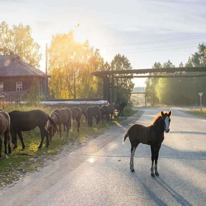 Photographer Reveals Peculiarities Of Russian Daily Life In A Unique Way