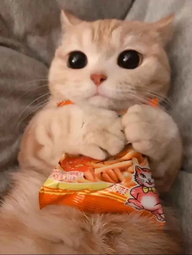 #1  I Need My Chips!