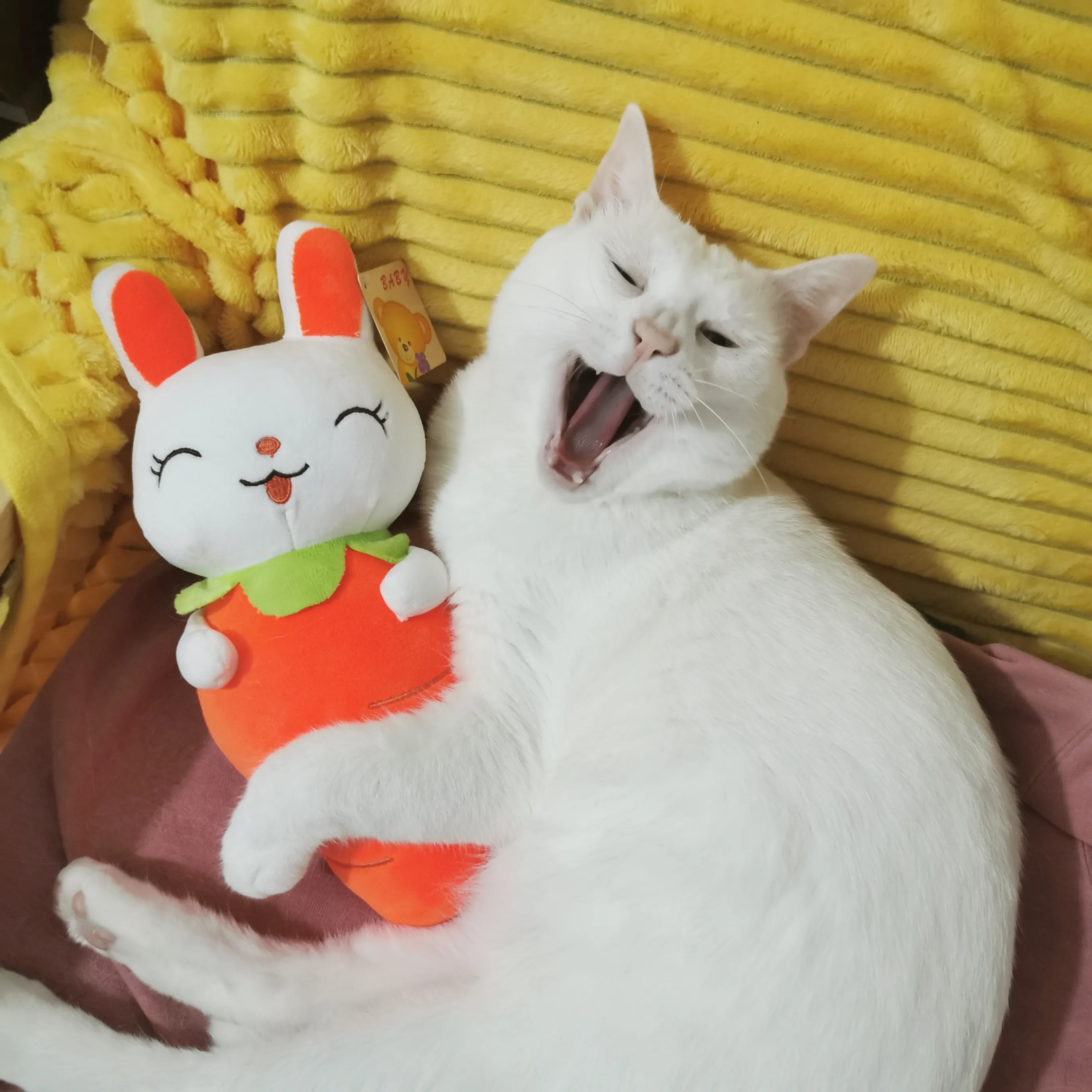 My Pet And Its Pet