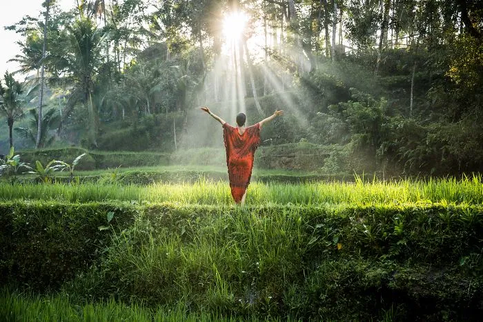 Receiving Morning Blessing From The Sun