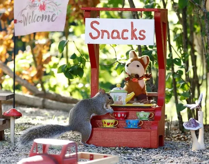 He construido una cafetería diminuta en mi jardín, estas son 30 fotos de los visitantes