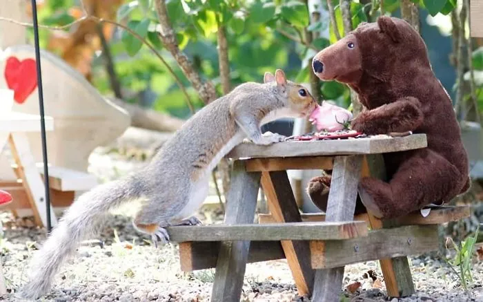 He construido una cafetería diminuta en mi jardín, estas son 30 fotos de los visitantes