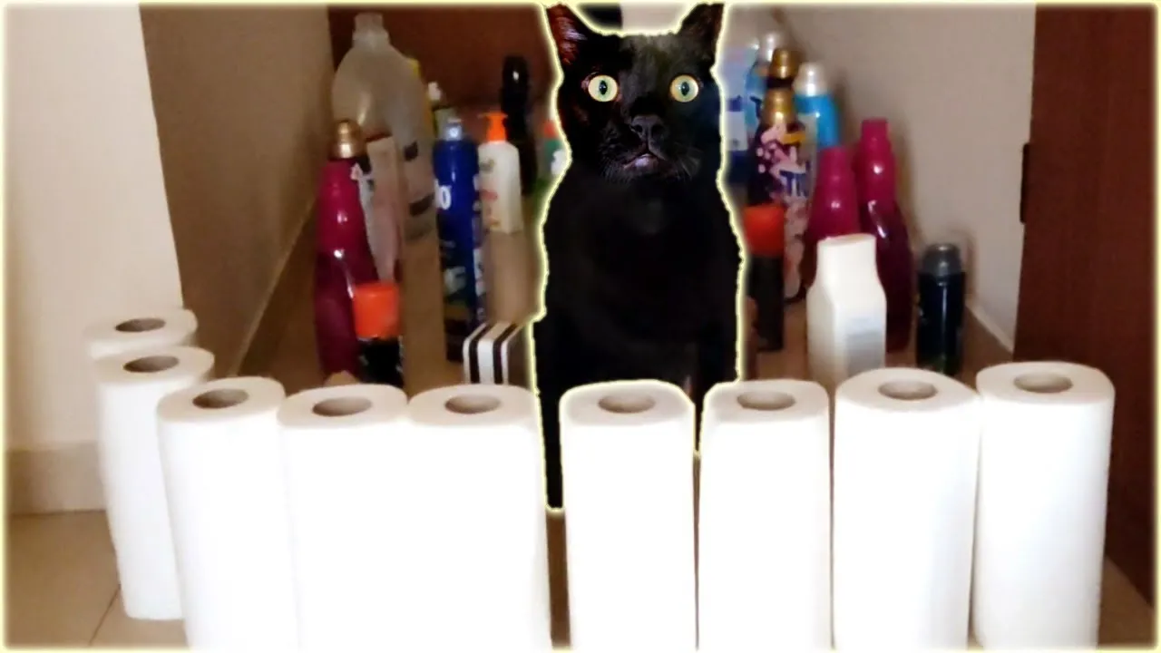 The Black Cat Challenge