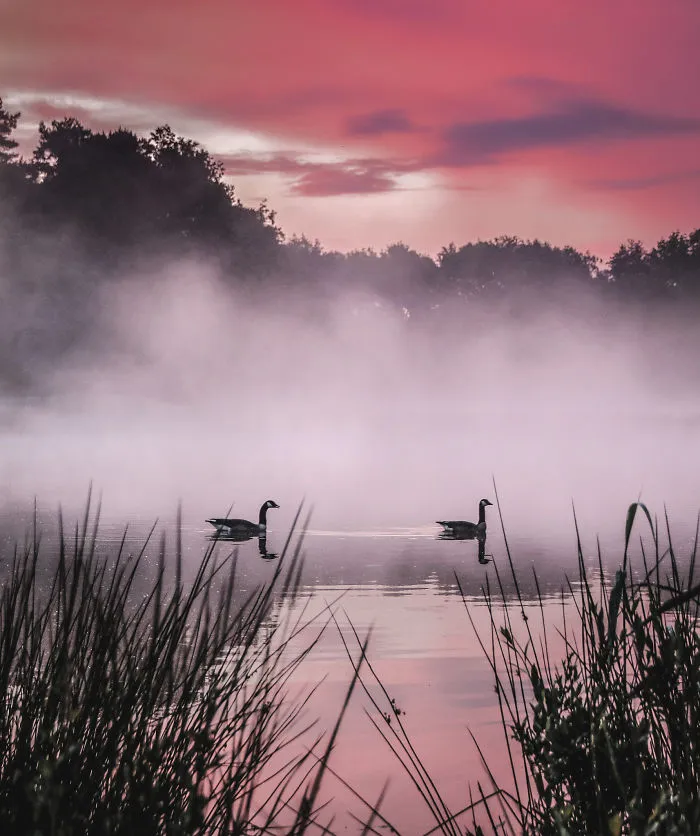 Serenity
