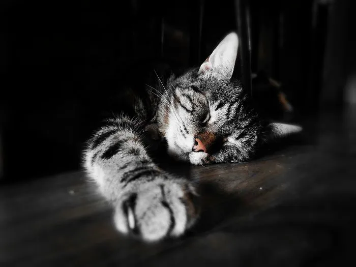 Sleep In Peace