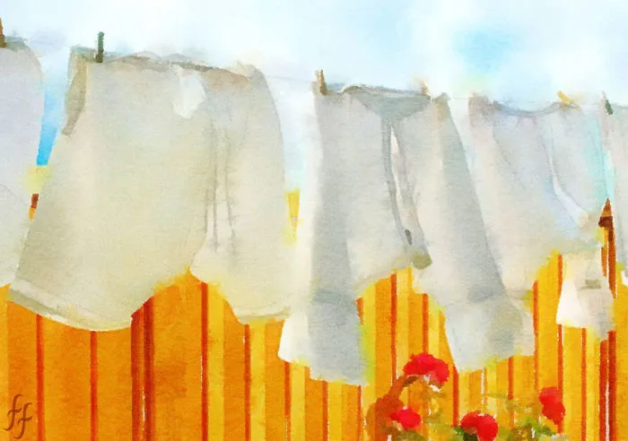 My Period Knickers