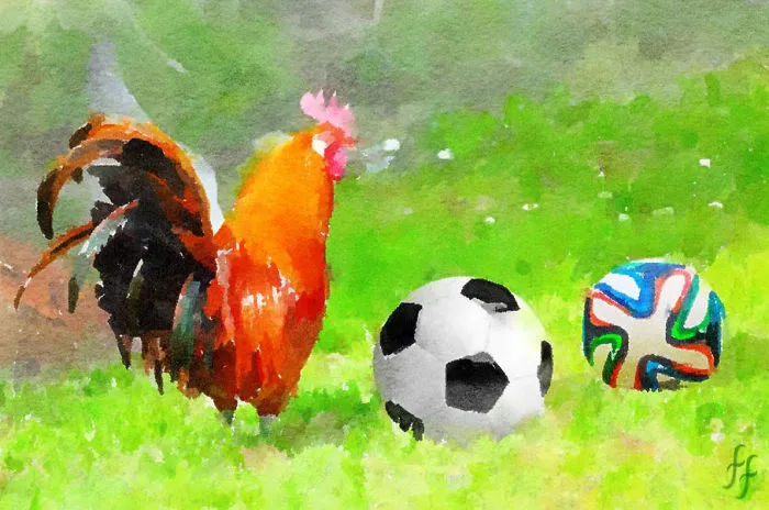 Cock And Balls