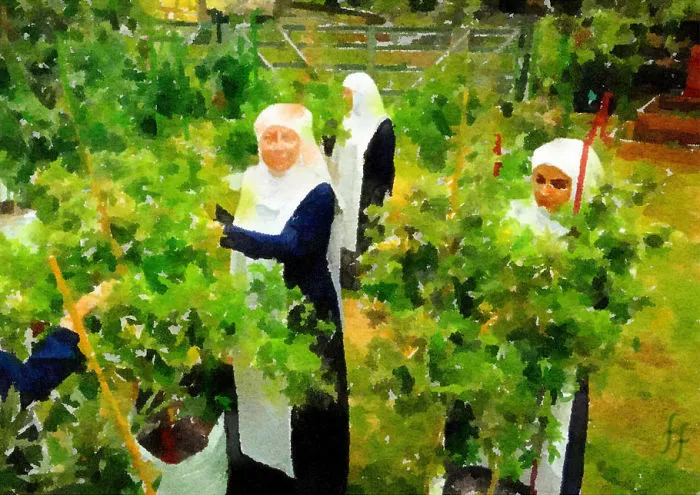 Sisters Trim Their Bushes Together Outdoors