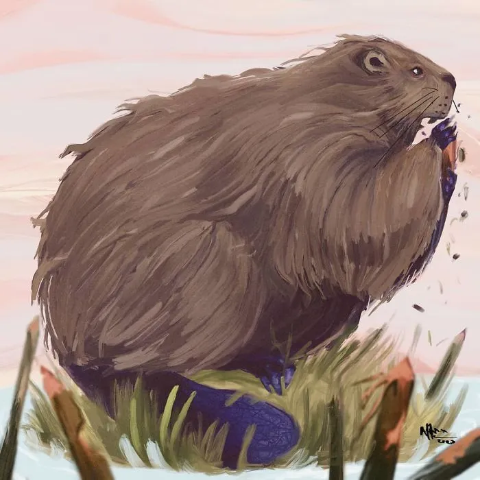 I Want People To Find All Animals Equally Adorable So I Decided To Make Them Chunky (31 Illustrations)