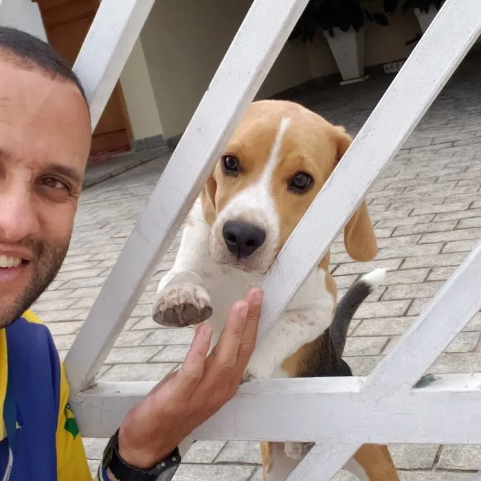 Este cartero se hace selfies con todos los animales que conoce mientras trabaja (30 fotos)