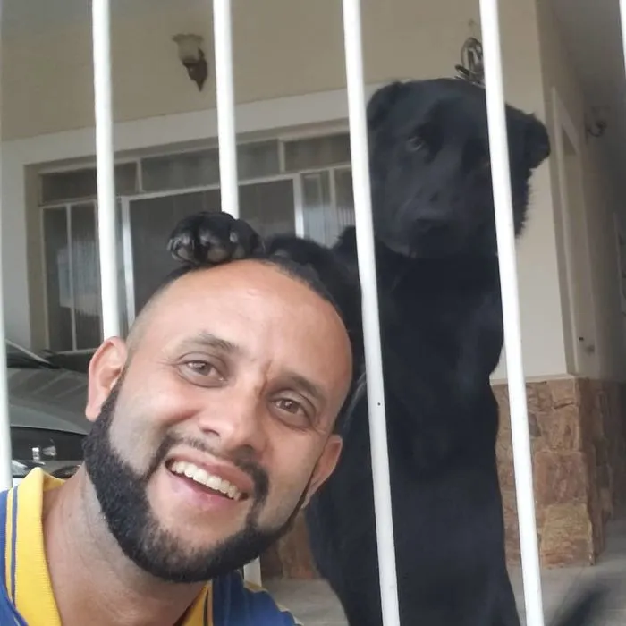 Este cartero se hace selfies con todos los animales que conoce mientras trabaja (30 fotos)