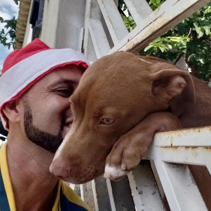Mailman Takes Selfies With Every Animal That He Befriends While On His Job (30 Pics)