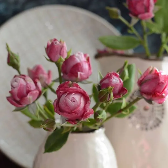 Woman Works As Hydraulics Engineer, But Leaves For Maternity Leave And Starts Making Realistic Porcelain Flowers