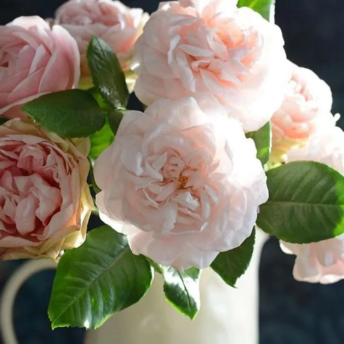 Woman Works As Hydraulics Engineer, But Leaves For Maternity Leave And Starts Making Realistic Porcelain Flowers